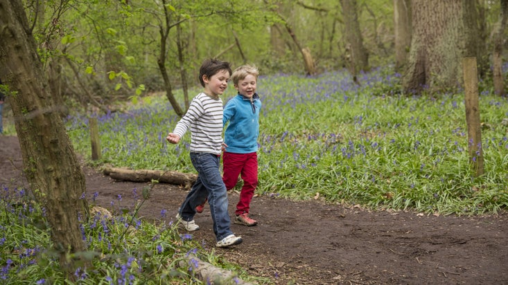 Two young boys walking along a path through woodland with bluebells either side of the path